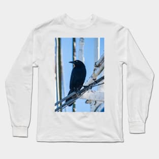 male boat-tailed grackle Long Sleeve T-Shirt